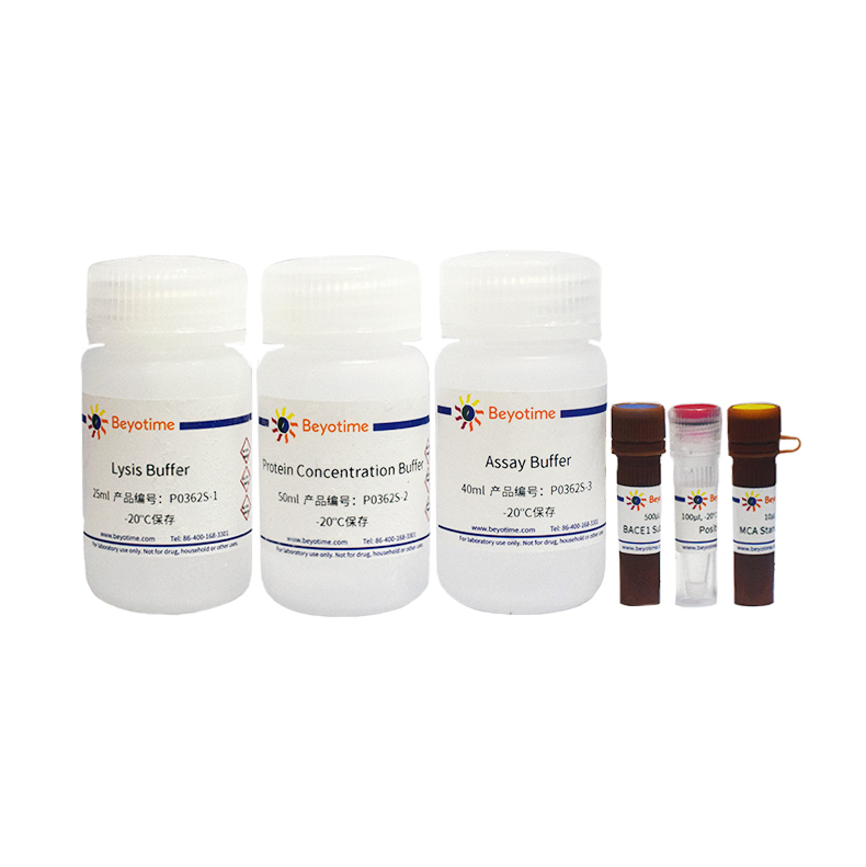 β-Secretase 1 (BACE1)活性荧光检测试剂盒 P0362S碧云天 P0362M