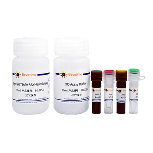 Amplex Red黄嘌呤氧化酶活性检测试剂盒  S0112碧云天