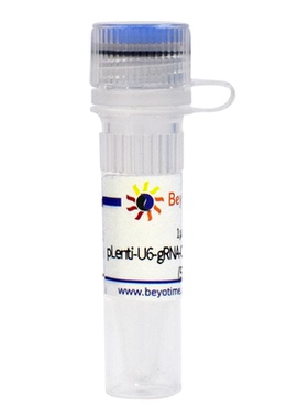 pLenti-U6-gRNA-Cas9-P2A-mCherry-Hygro  碧云天 D8310