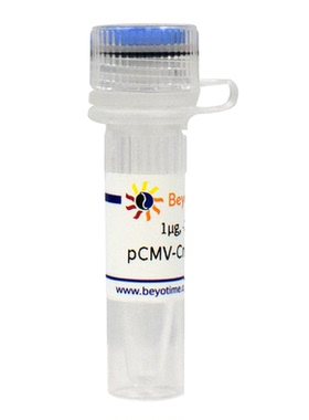 pCMV-Cre-mCherry  碧云天生物  D2607