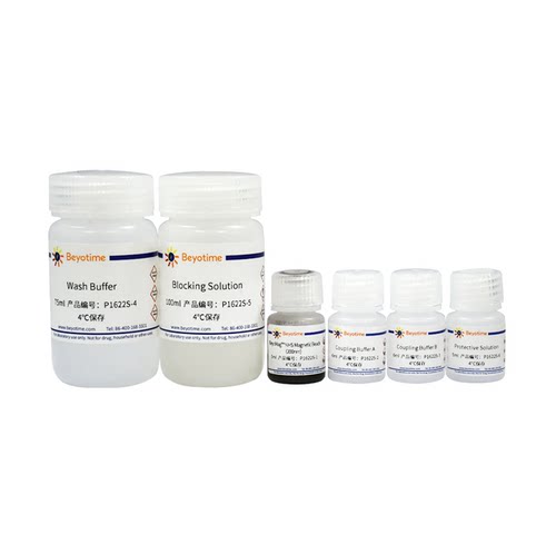 BeyoMag™ NHS磁珠偶联试剂盒(200nm)  P1622S