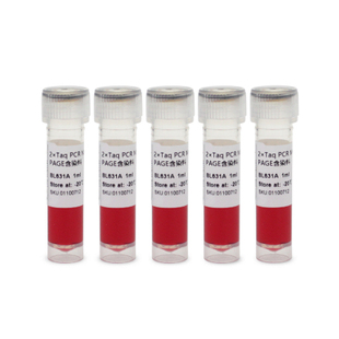 for BL631B PAGE含染料 Mix Master 2×Taq PCR