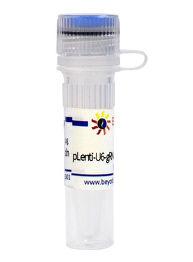 pLenti-U6-gRNA-Cas9-P2A-mCherry-Zeocin 碧云天 D8306