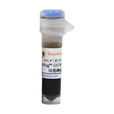 BeyoMag™ GST标签蛋白纯化琼脂糖磁珠