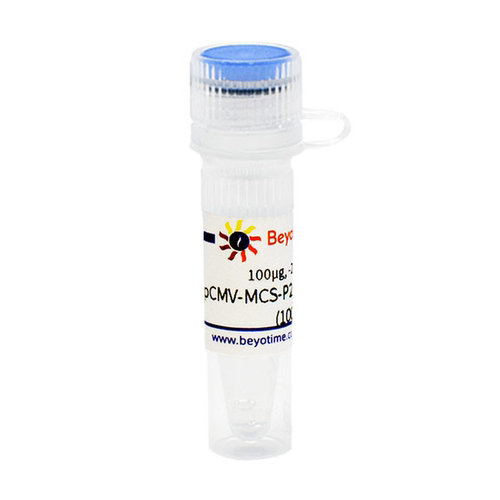 pCMV-MCS-P2A-EGFP-Flag-Neo 碧云天 D2633