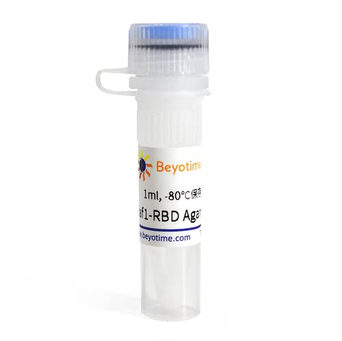 Raf1-RBD Agarose (活性Ras结合琼脂糖凝胶)  P2431