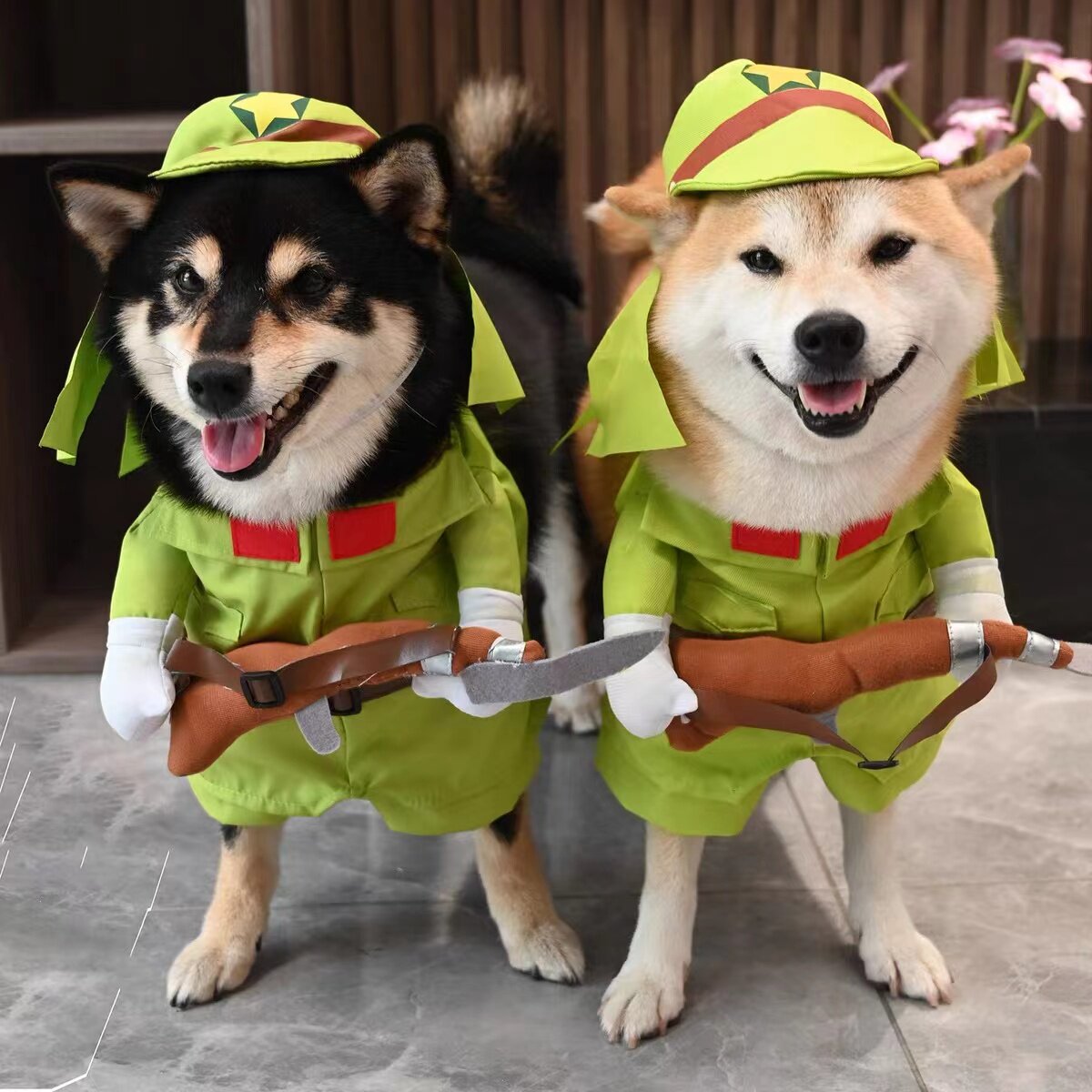 小八嘎狗狗衣服宠物变身装