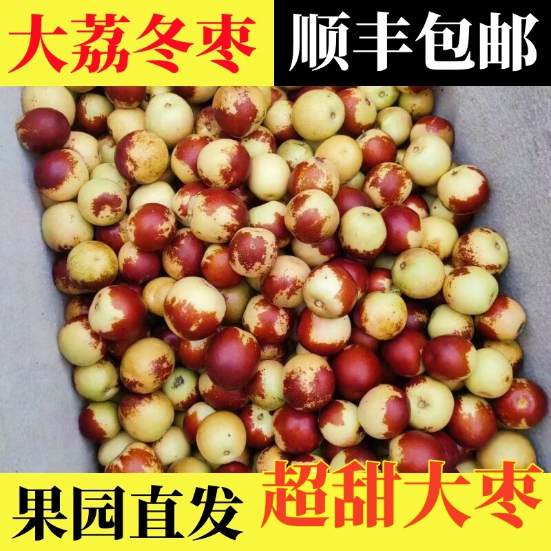 顺丰大荔冬枣当季新鲜大枣陕西脆甜红枣现摘冰糖脆枣整箱孕妇水果