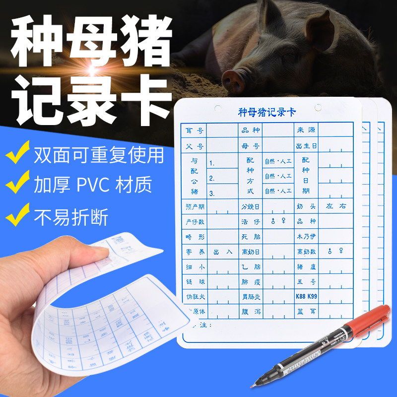 母猪记录卡pvc母猪生产档案卡防水母猪配种记录表双面猪用记录卡