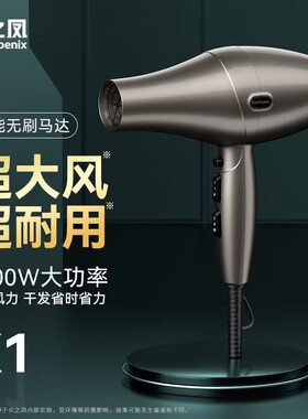 大功率速干，理发店效率之选