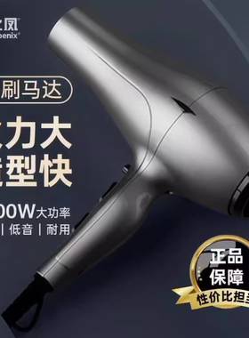 火之凤6600H电吹风机理发店发廊发型师专用2400W无刷电机正品风筒