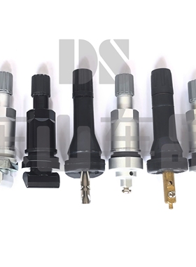 适用启辰大VD60T60 T70 T90 M50V M60V星E30胎压监测气门嘴 气嘴