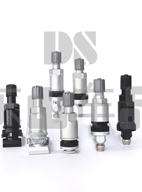 适用雷克萨斯 IS300 IS350 LC500 LS350 胎压监测气门嘴 专用气嘴