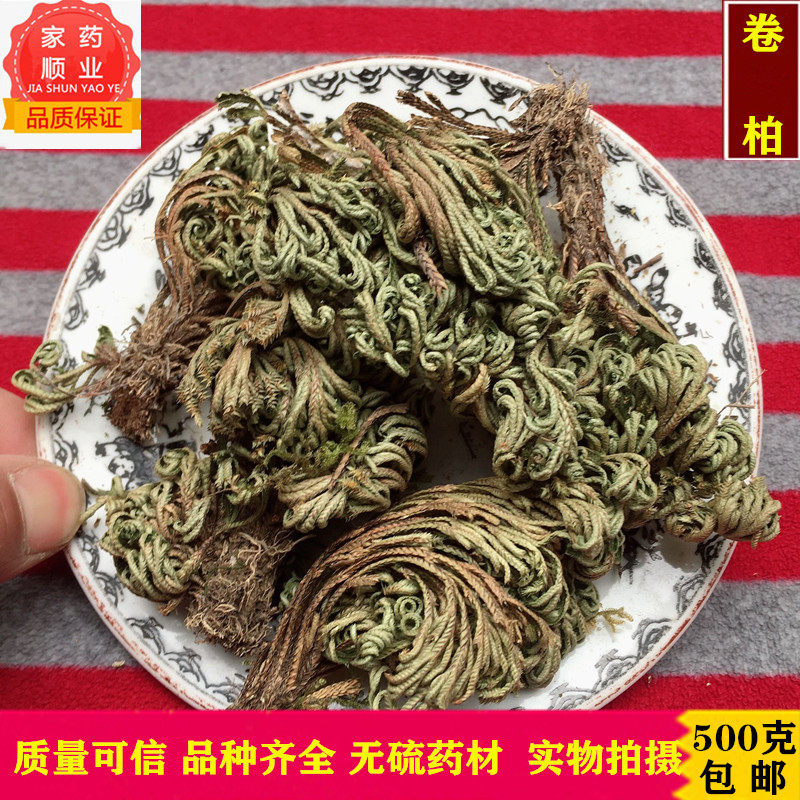 中药材卷柏 九死还魂草 还魂草
