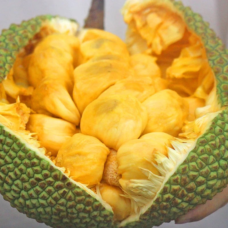 海南榴莲蜜一整个手撕软糯香甜黄肉湿苞菠萝蜜新鲜红心小榴莲蜜