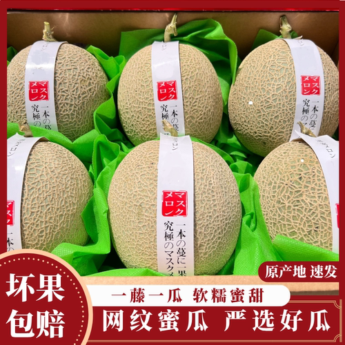 正宗网纹蜜瓜冰激凌哈蜜瓜新鲜现摘当季水果季节网纹软糯蜜瓜整箱
