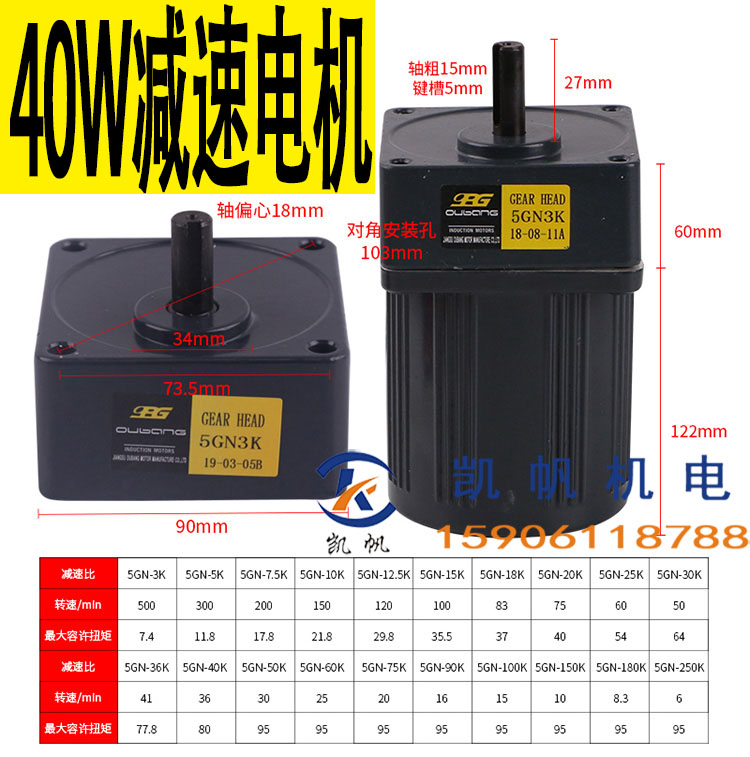 OPG40W齿轮减速电机5IK40GN-C减速机小型电机带减速箱220V慢电机