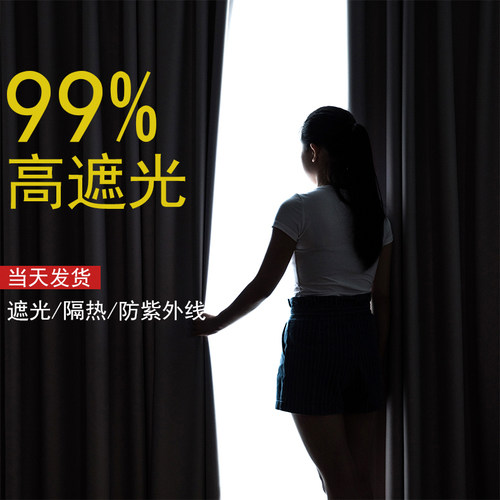 OKUMURA全遮光简约现代窗帘