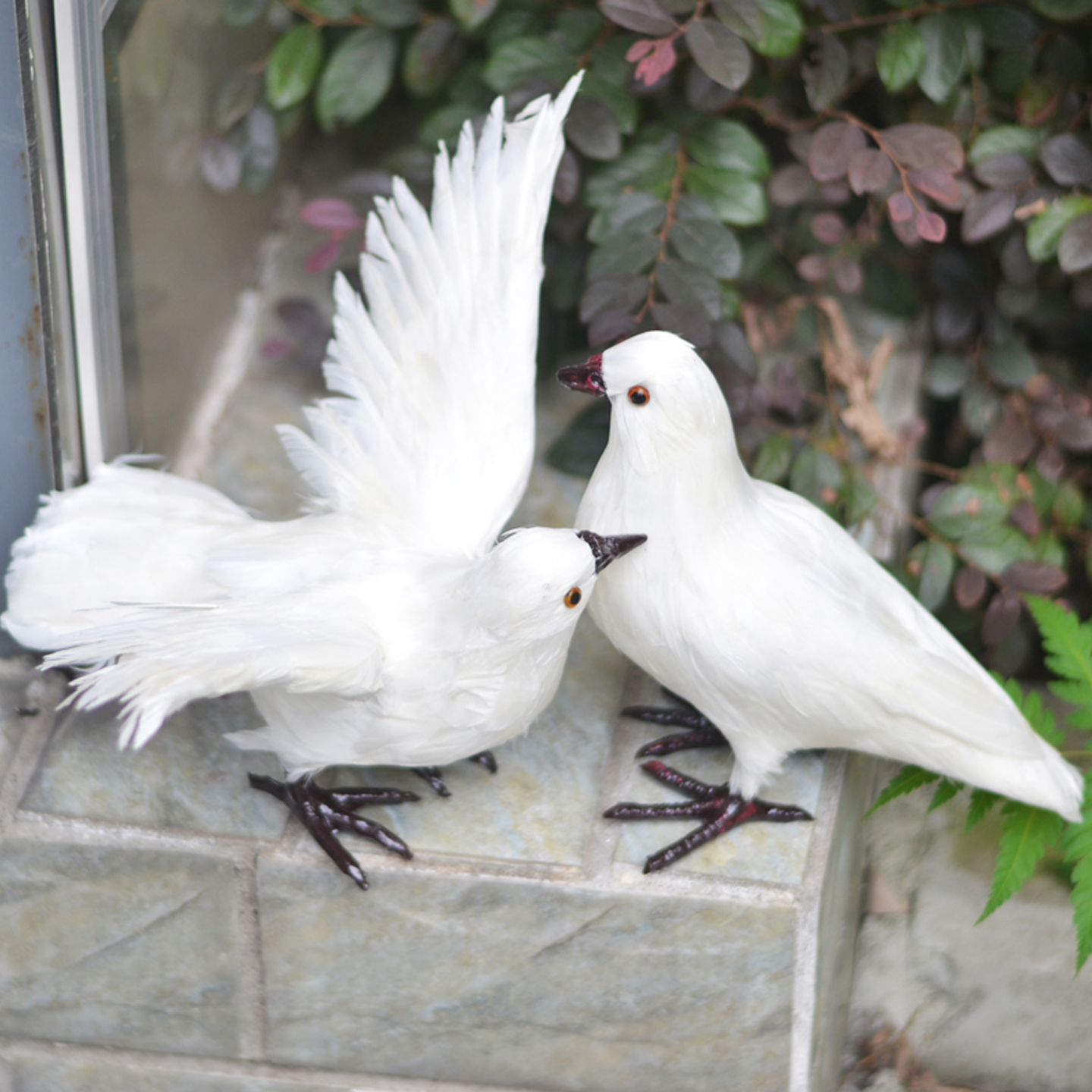 装饰摆件真实羽毛仿真白盒和平鸽
