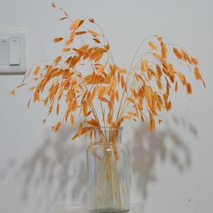 短枝小盼草永生花干花包灵动小清新混搭花束客厅家居装饰拍照真花