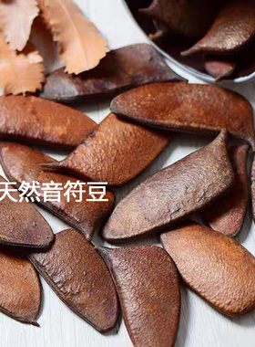天然风干音符果豆夹风铃果材料包