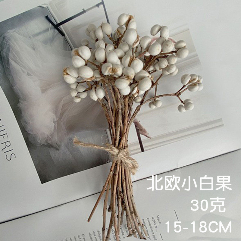 小白果干花永生花束木子果风干树枝薏米果手工香熏乌桕果花盒配材