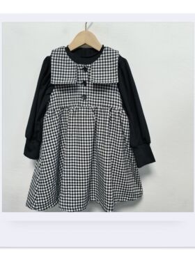 秋季女童中大童连衣裙两件套