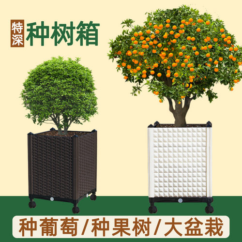 种树箱果树盆大花盆特深