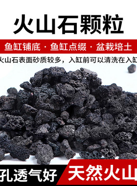 天然造景火山石水陆雨林装饰材料
