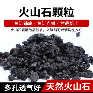 天然造景火山石水陆缸鱼缸装饰材料玄武岩草缸套餐生态缸雨林假山