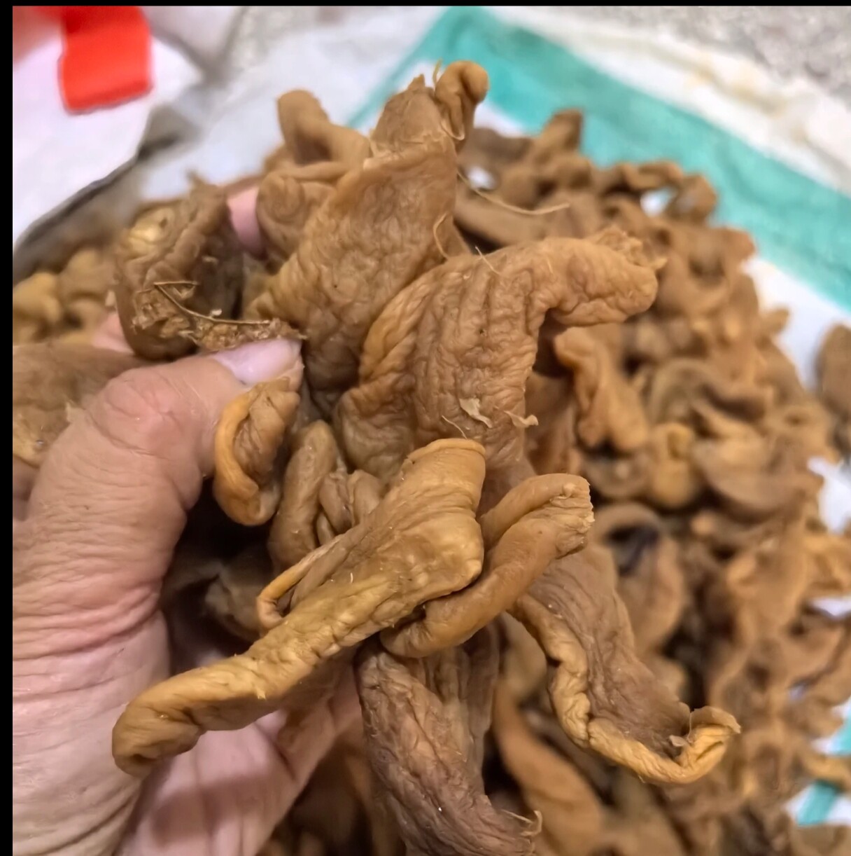 自家晒的盐萝卜干彭香好恰