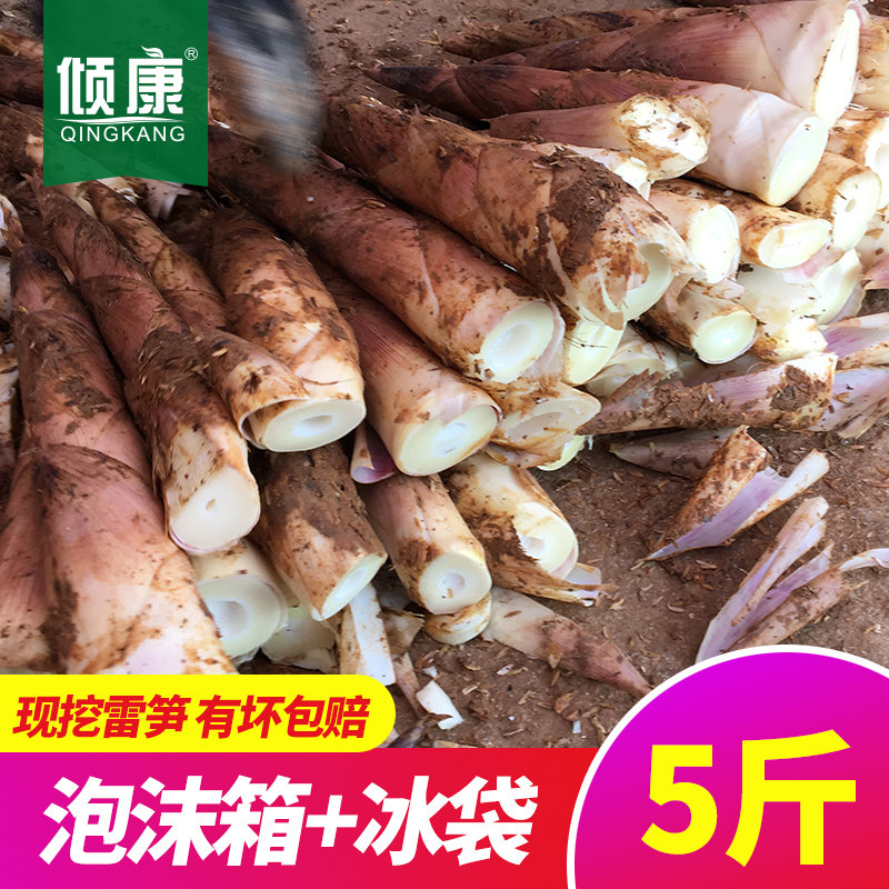 雷笋新鲜冬笋竹笋雷竹笋油焖笋腌笃笋现挖农家野生蔬菜春笋5斤装