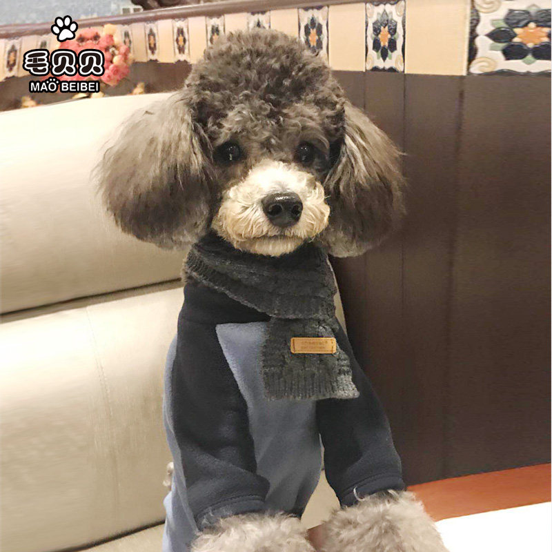 四脚泰迪衣比博美犬潮服宠物狗狗