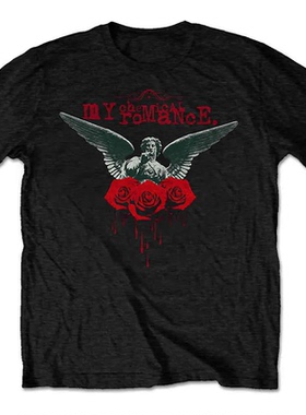 The Ramones雷蒙斯美国传奇朋克乐队摇滚音乐纯棉宽松直喷短袖T恤