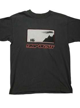 Limp Bizkit软饼干乐队说唱金属Rock美式高街短袖男女纯棉直喷T恤