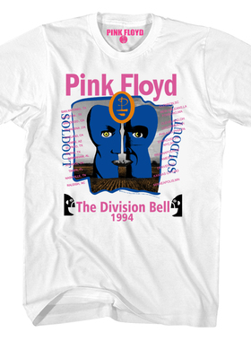 1994 THE DIVISON BELL平克摇滚vintage美式复古纯棉男士短袖T恤