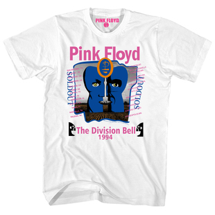 1994 THE DIVISON BELL平克摇滚vintage美式复古纯棉男士短袖T恤