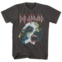 Def Leppard Rock Punk Rock American retro men's loose direct-print T-shirt thumbnail 8