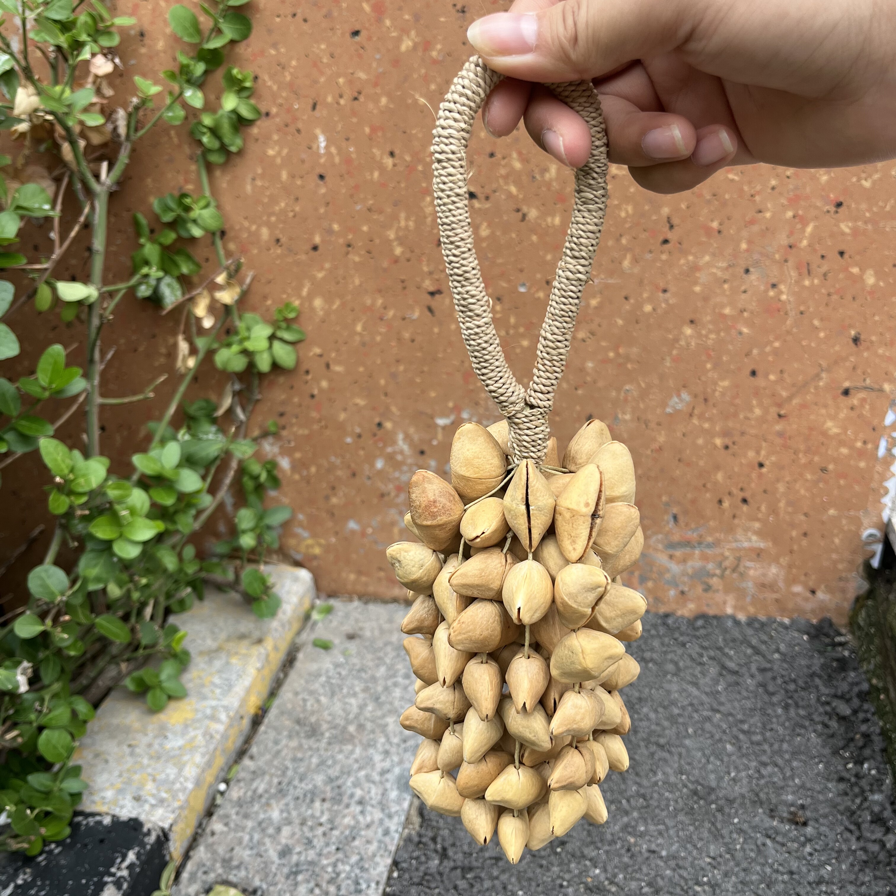 夹竹桃果壳摇铃串铃印尼果壳铃铛伴奏风铃铃音疗音束疗愈瑜伽乐器