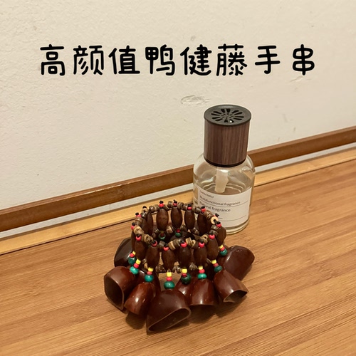 鸭健藤果壳手链坚果壳手摇铃非洲鼓伴奏多拉果果壳手摇铃手链