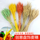 黄金干麦穗创意盘饰麦稻穗酒店厨师凉热意境菜品盘头装 饰点缀厨才