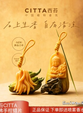 CITTA/西苔乐山佛手柑香薰蜡片持久留香家用衣橱香薰蜡片衣柜挂饰