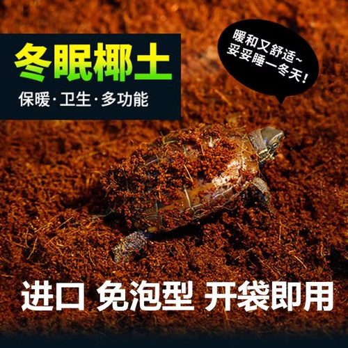 冬眠椰土无菌爬宠专用材料苔藓