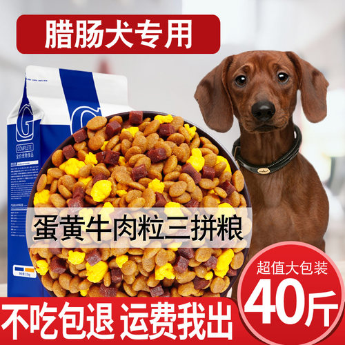 腊肠幼犬价格 腊肠幼犬图片 星期三