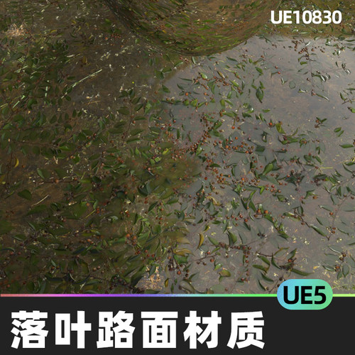 SWAMP VOL1 AMAZON 湿润泥泞落叶地面路面道路材质5.4虚幻引擎UE5