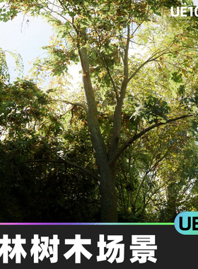 MW Meadow Forest Trees Biome 森林松林树木场景5.4虚幻UE5环境