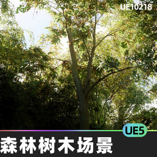 MW Meadow Forest Trees Biome 森林松林树木场景5.4虚幻UE5环境