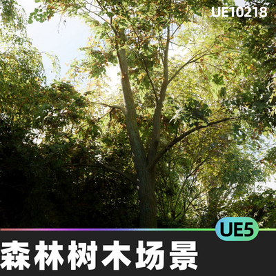 MW Meadow Forest Trees Biome 森林松林树木场景5.4虚幻UE5环境