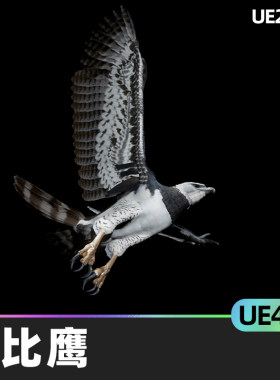Harpy Eagle哈比鹰4.27虚幻UE5实际角色半逼真3D模型脚部放置