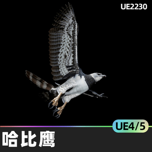 Harpy Eagle哈比鹰4.27虚幻UE5实际角色半写实3D模型脚部放置